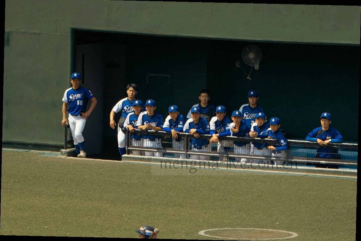 猛犸体育华人版适配清单分类信息图，按安卓机型与浏览器环境分组，使用等宽字体标注